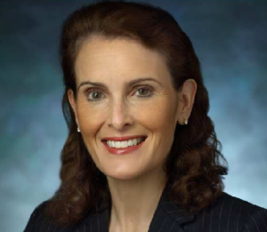 The Treasure Hunt Guest - Carolyn Carpenter
